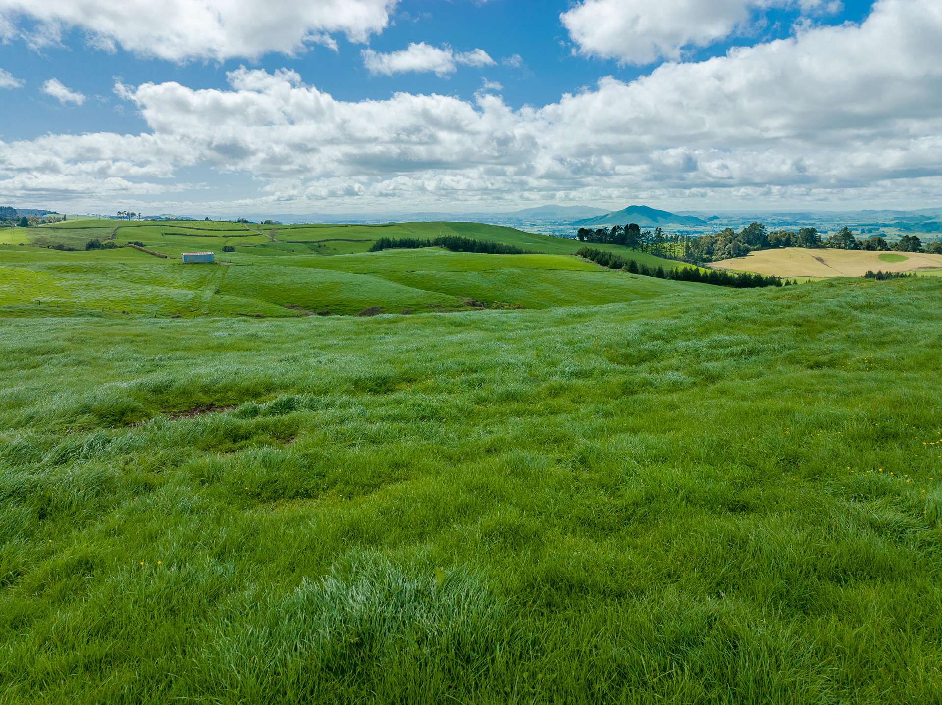 487 Pekanui Road Puketotara_0