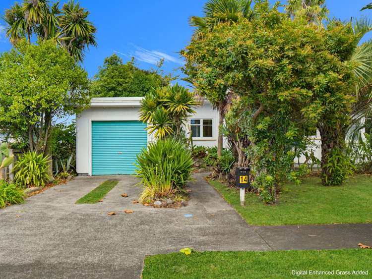 14 Helmore Street Whanganui East_27