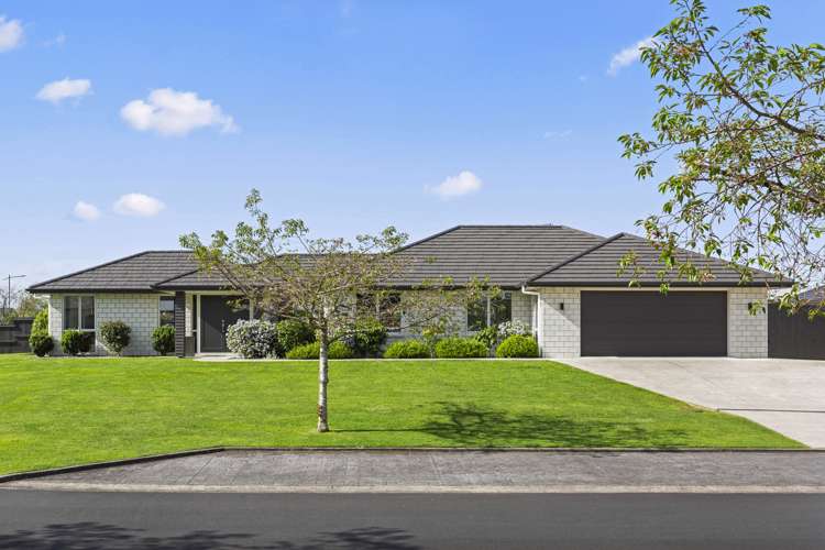 2 Kelso Place Matamata MatamataPiako Houses for Sale One Roof