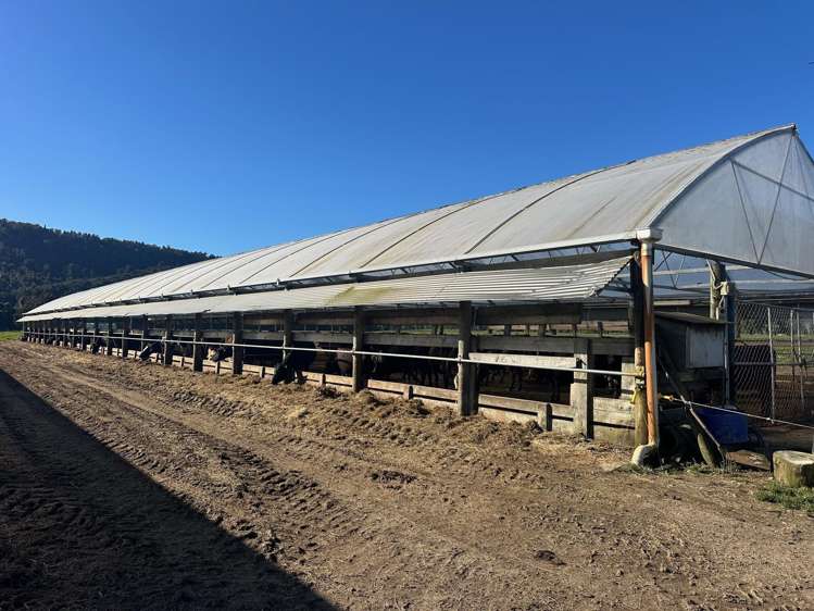 451 Umere Road Karamea_17