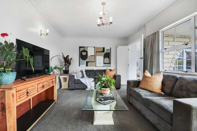 33 Leefield Street Blenheim_3