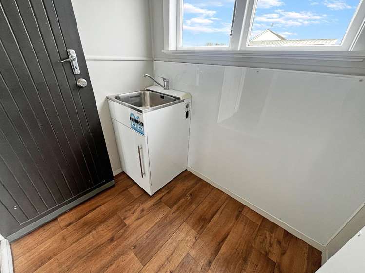 2 Devon Crescent Bulls_9