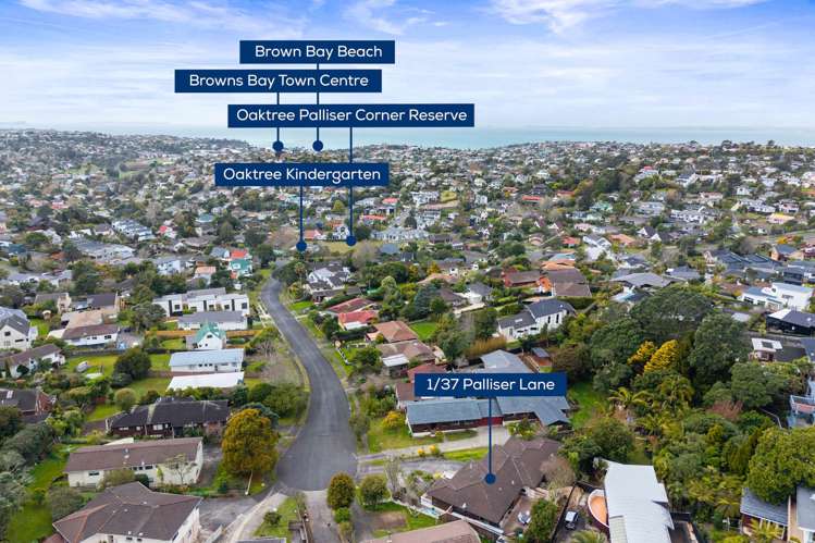 1/37 Palliser Lane Browns Bay_23