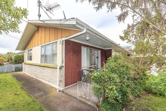 25 Tinirau Street Wanganui East_1