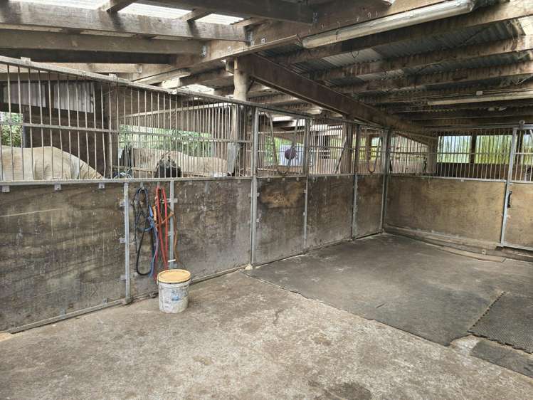 103 East Road Stratford_25