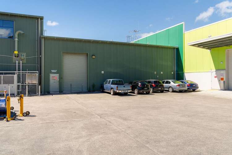 251 Fraser Street Tauranga_8