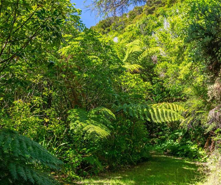 106 Moetapu Bay Road Anakiwa and Surrounds_11