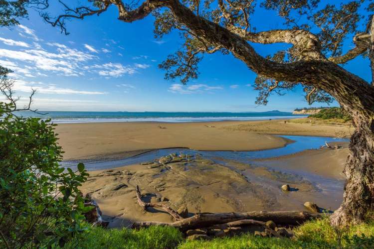 39 Bight Road Long Bay_12