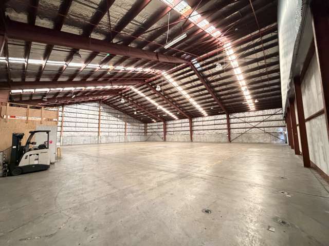 476 Jackson Street Petone_4