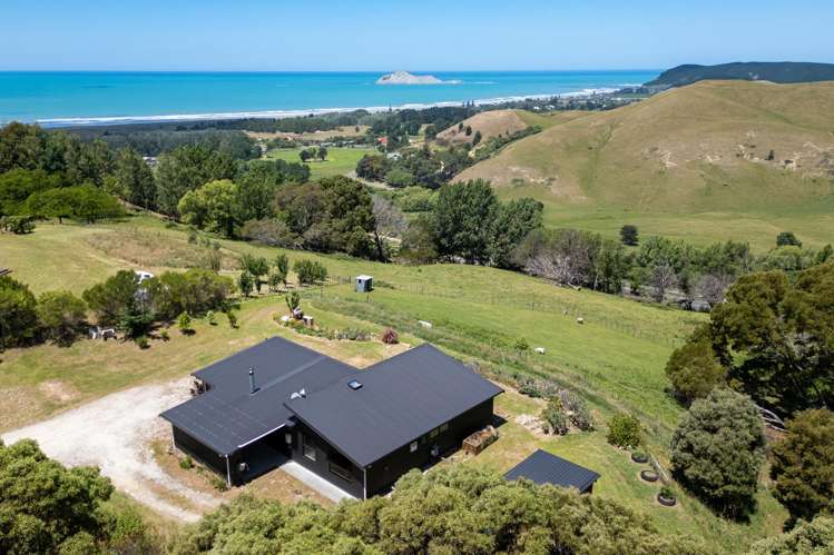 1995 Waimarama Road Waimarama_17