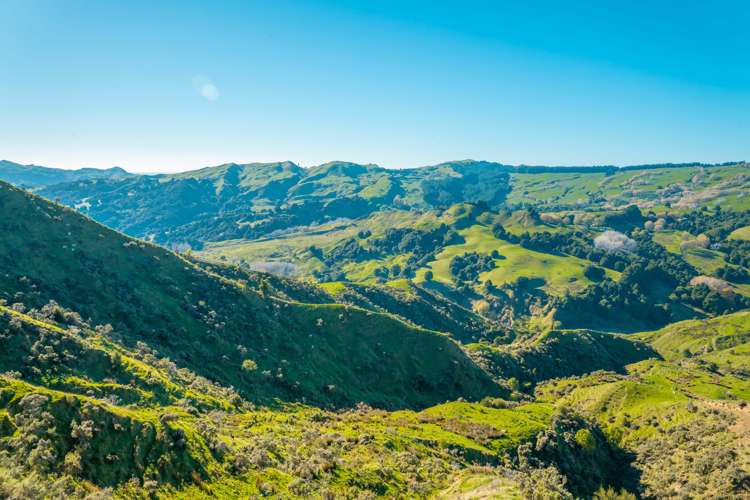 229 Rangikohua Road Tolaga Bay_15