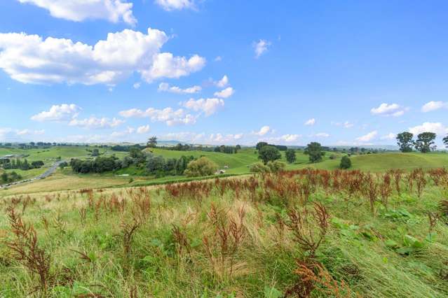 Lot Lot 4 Tapapa Road West Tirau_4