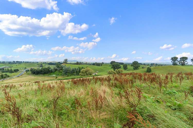 Lot Lot 4 Tapapa Road West Tirau_14