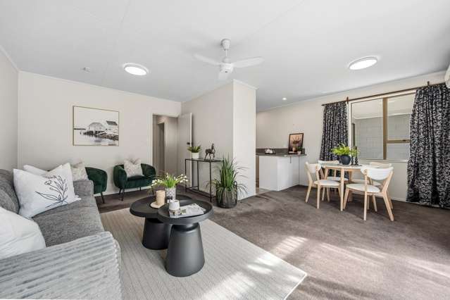 67 South Road Masterton_2