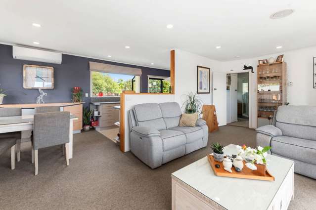 25 Pukeko Street Hillcrest_3