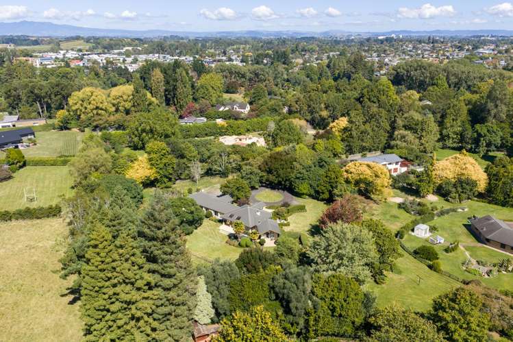 47A Poplar Lane Matangi_31