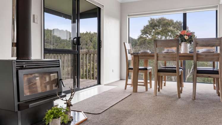100f Axtens Road Mangatawhiri_9