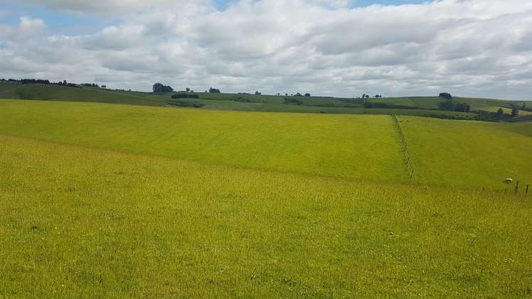 31 Whitiker Road Clinton and Surrounds_6