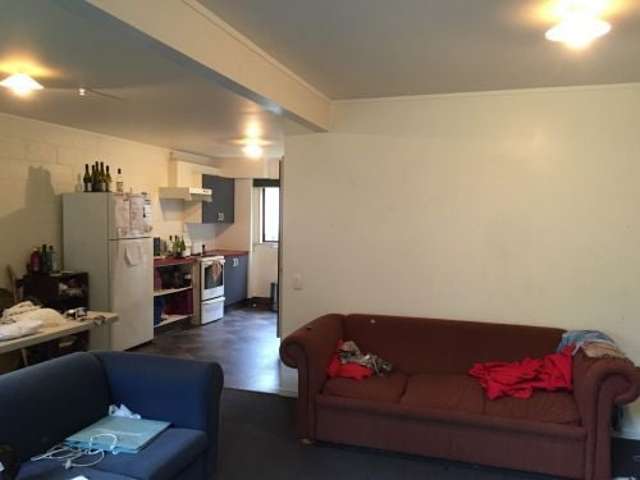 8/543 George Street North Dunedin_3