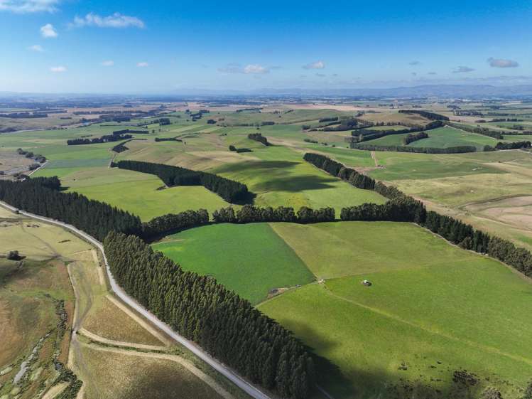 125 Tomogalak Road Ardlussa_21