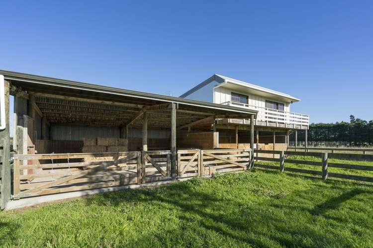 991 Newtons Road Rolleston_13