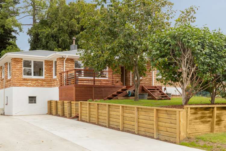24a Harrier Street Parkvale_16