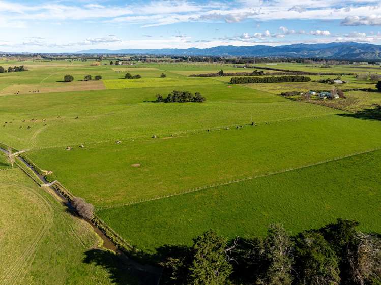 326 Cornwall Road East Taratahi_8