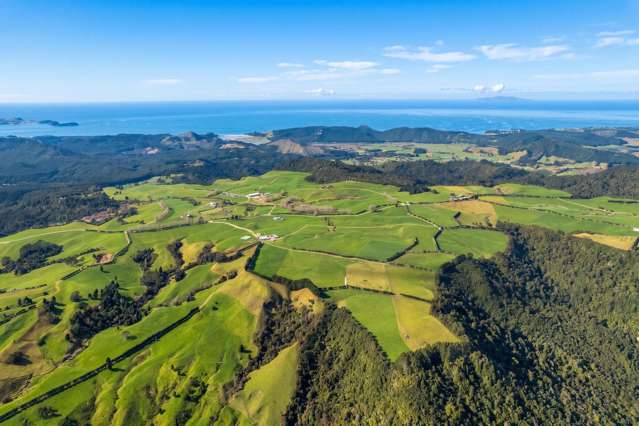 165 McBeth Road Hikuai_1