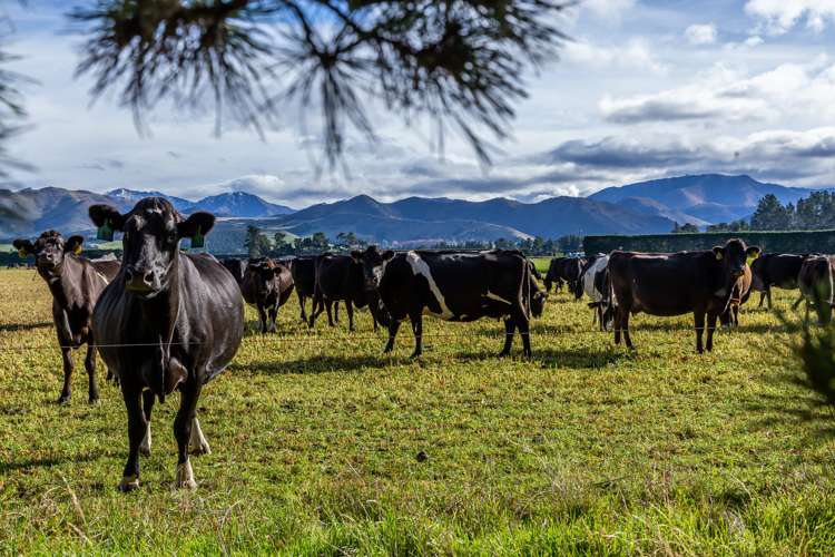 670 The Peaks Road Hawarden_17