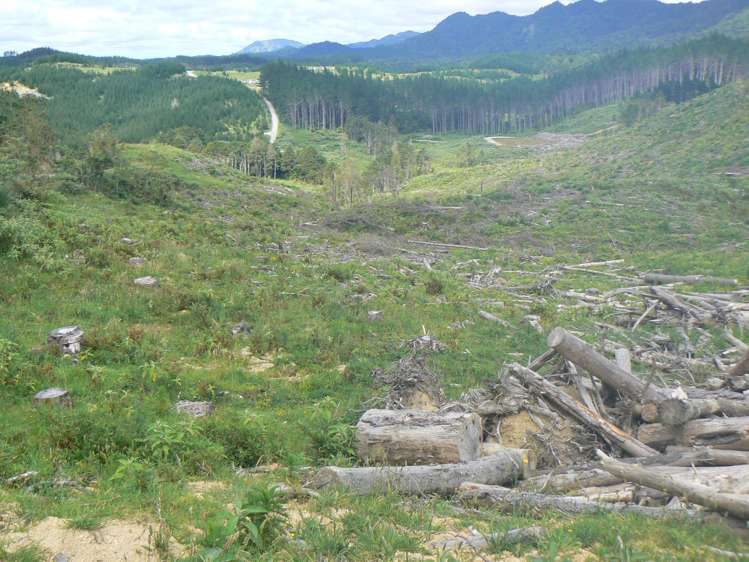 Lot 65 Stoney Creek Road Mangamuka_18