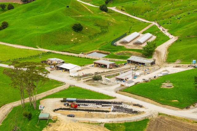 901 Pukehuia Road Tangiteroria_2