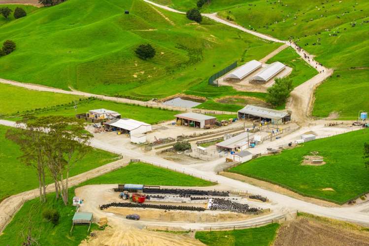 901 Pukehuia Road Tangiteroria_2