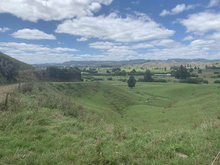 921 Ohura Road Aria_24