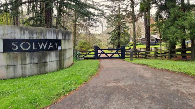 283 Ara-Kotinga Whitford_4