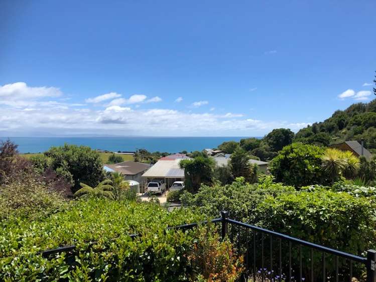 2 Kowhatu Grove Kahurangi National Park_19