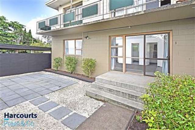 1/17 Luke Street Otahuhu_1