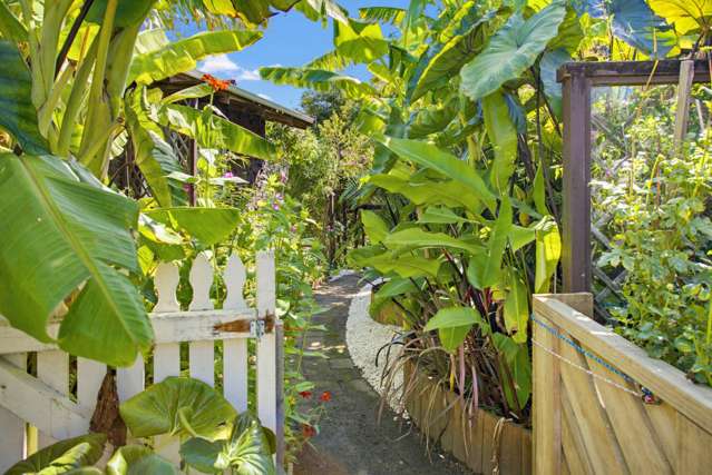 6 Punga Place Whitianga_4