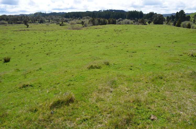 1539 Waitaanga Road Ohura_11