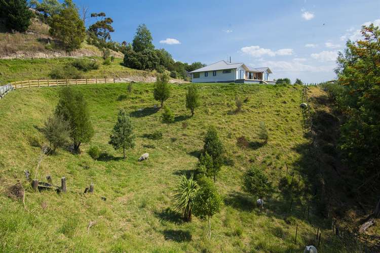 1b Oswald Street Mangapapa_16