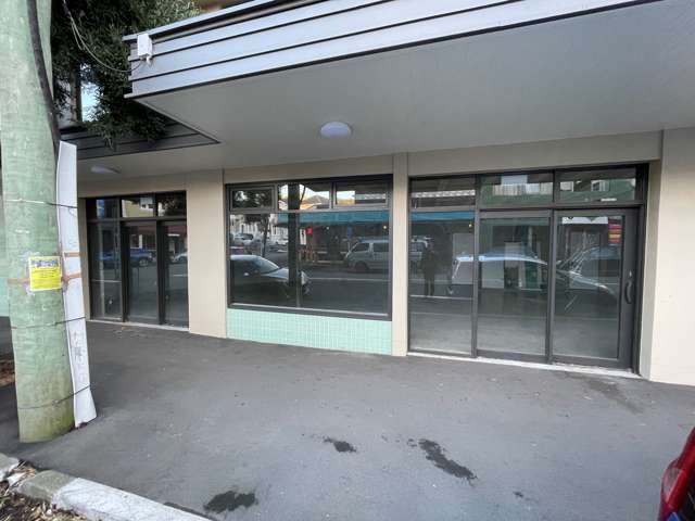 7 Majoribanks Street Te Aro_1