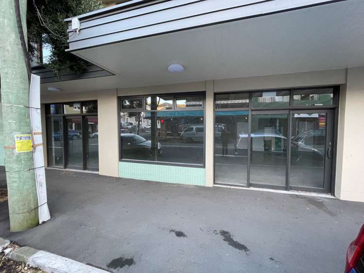 7 Majoribanks Street Te Aro_1