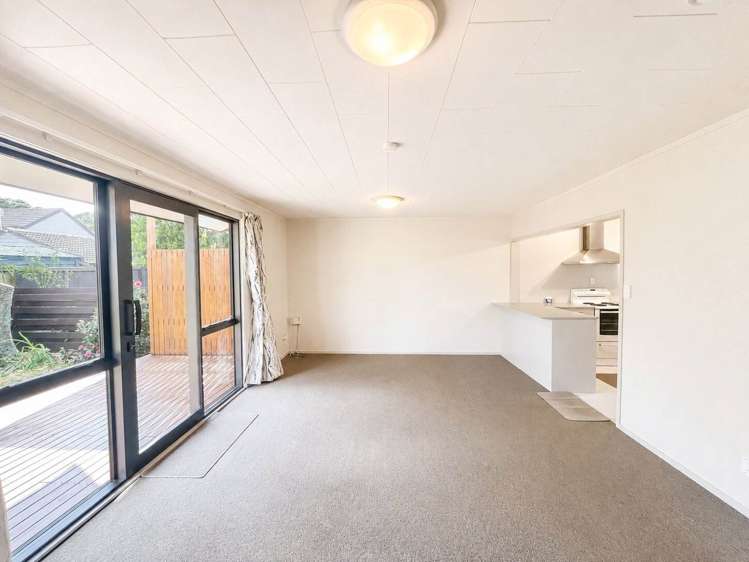 14 Pohutukawa Place Ellerslie_0