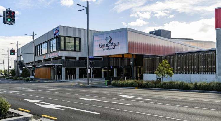 20 Golden Avenue Flat Bush_5