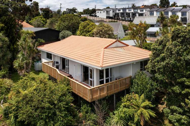 46C Fairlands Avenue Waterview_22