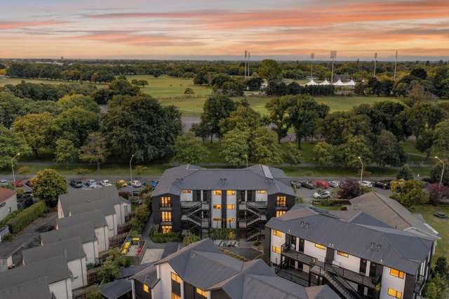 Front Row to the Park