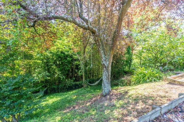 26 Jenner Road Toi Toi_21