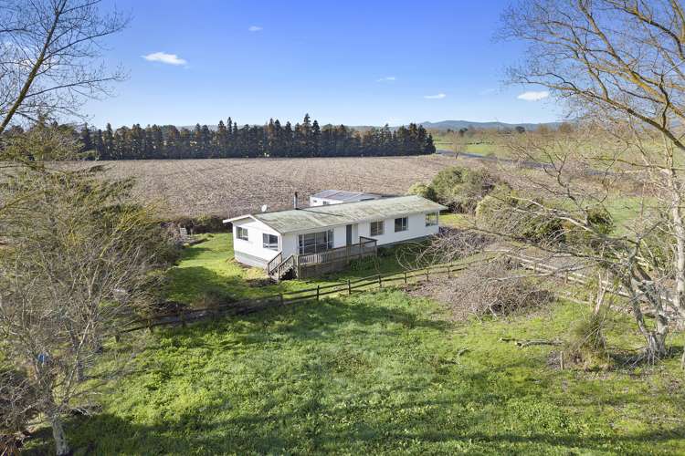 477 Seddon Road Gordonton_5