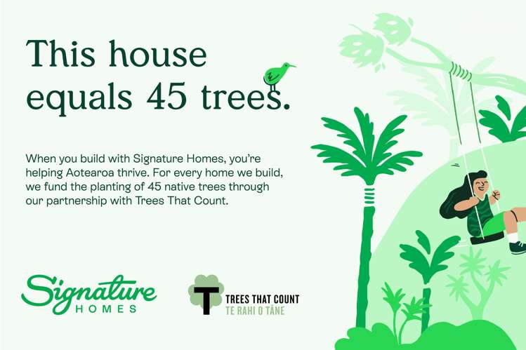 Kiekie Road Casebrook_12