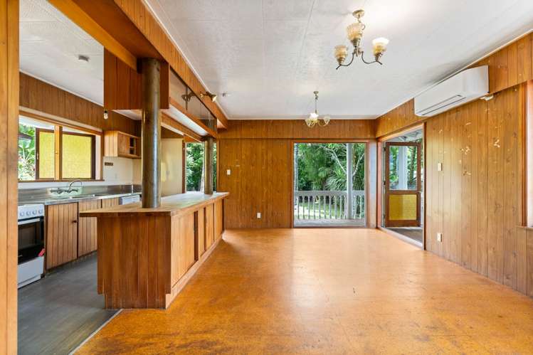 533 Richmond Road Grey Lynn_8