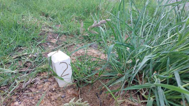 Lot/2 Wearmouth Road Paparoa_20